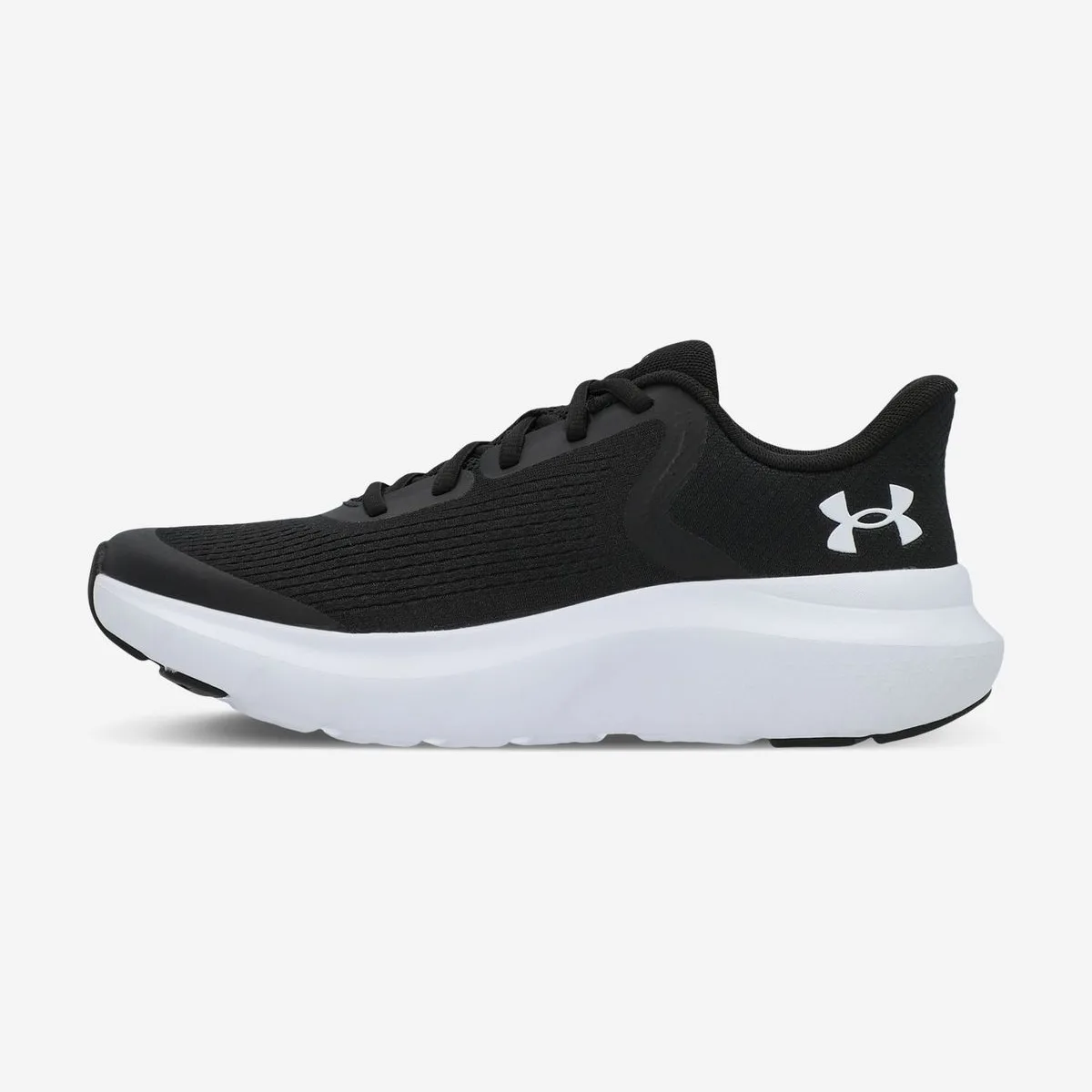 Кроссовки детские Under Armour BGS Rogue 5