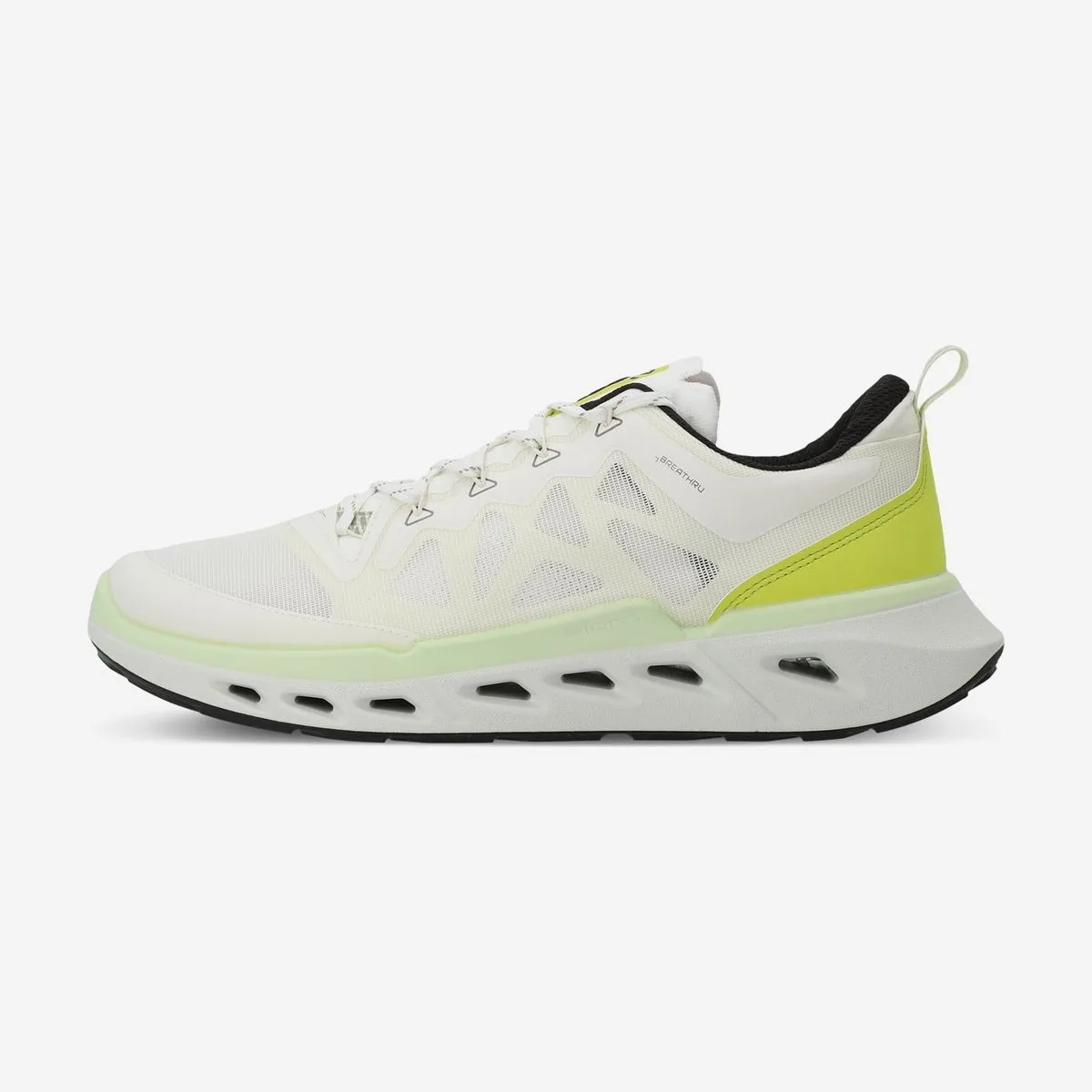 Кроссовки мужские ECCO Biom 720