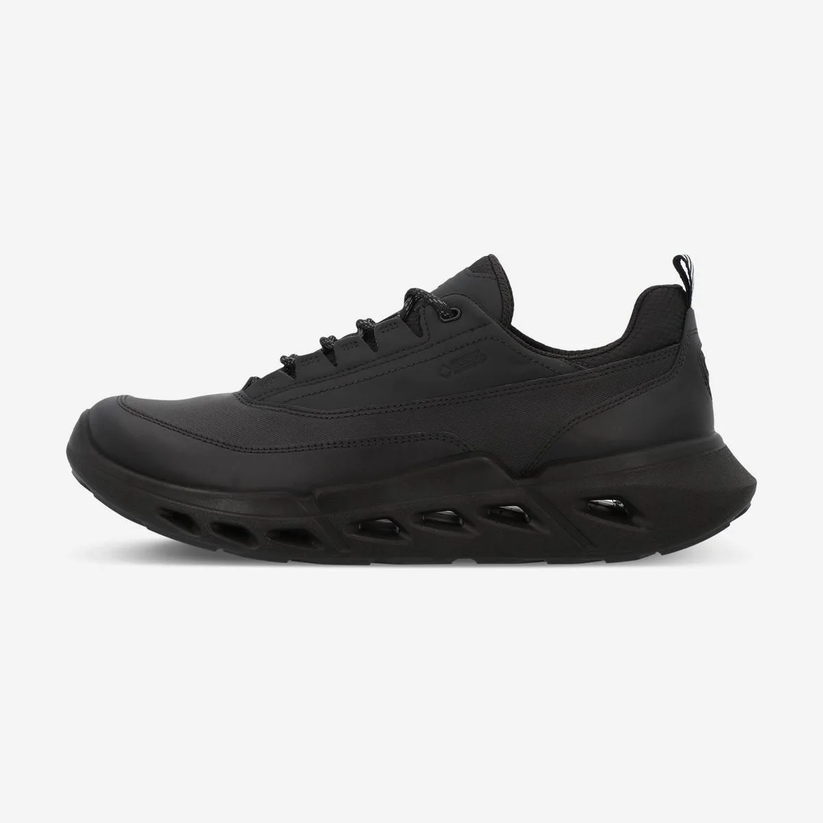 Кроссовки мужские ECCO Biom 720