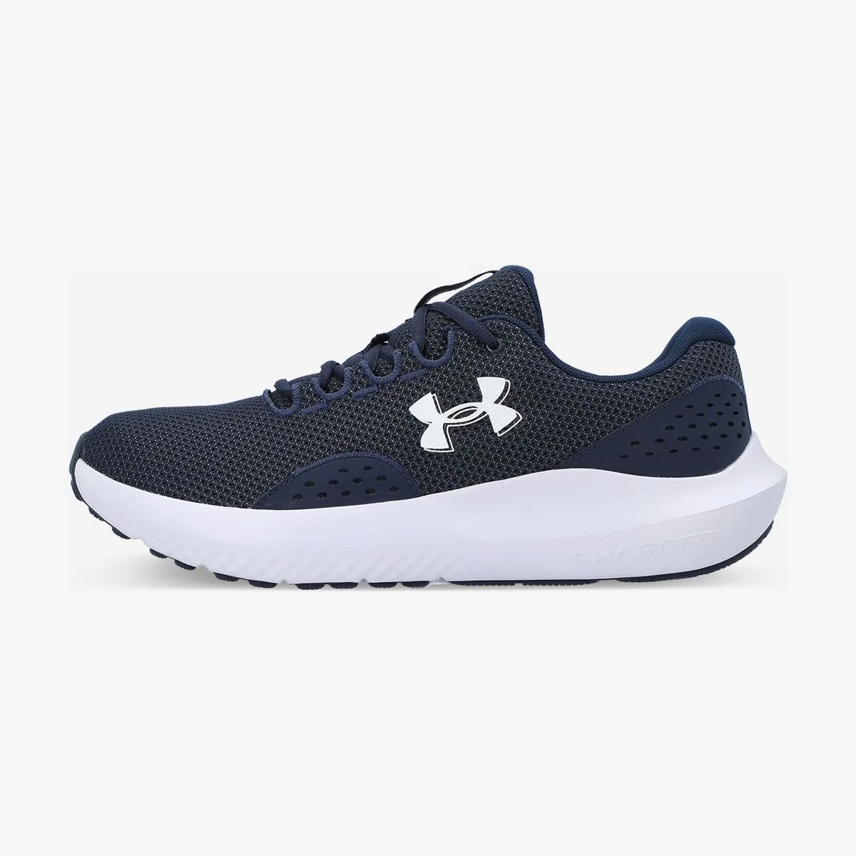 Кроссовки мужские Under Armour Charged Surge 4
