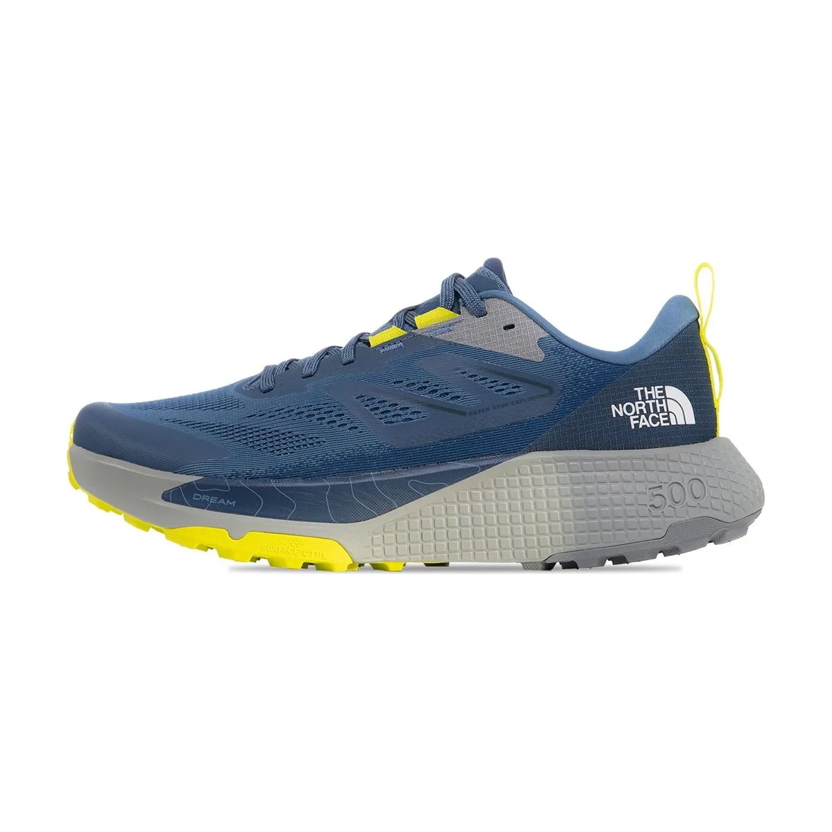 Мужские кроссовки The North Face Altamesa 500