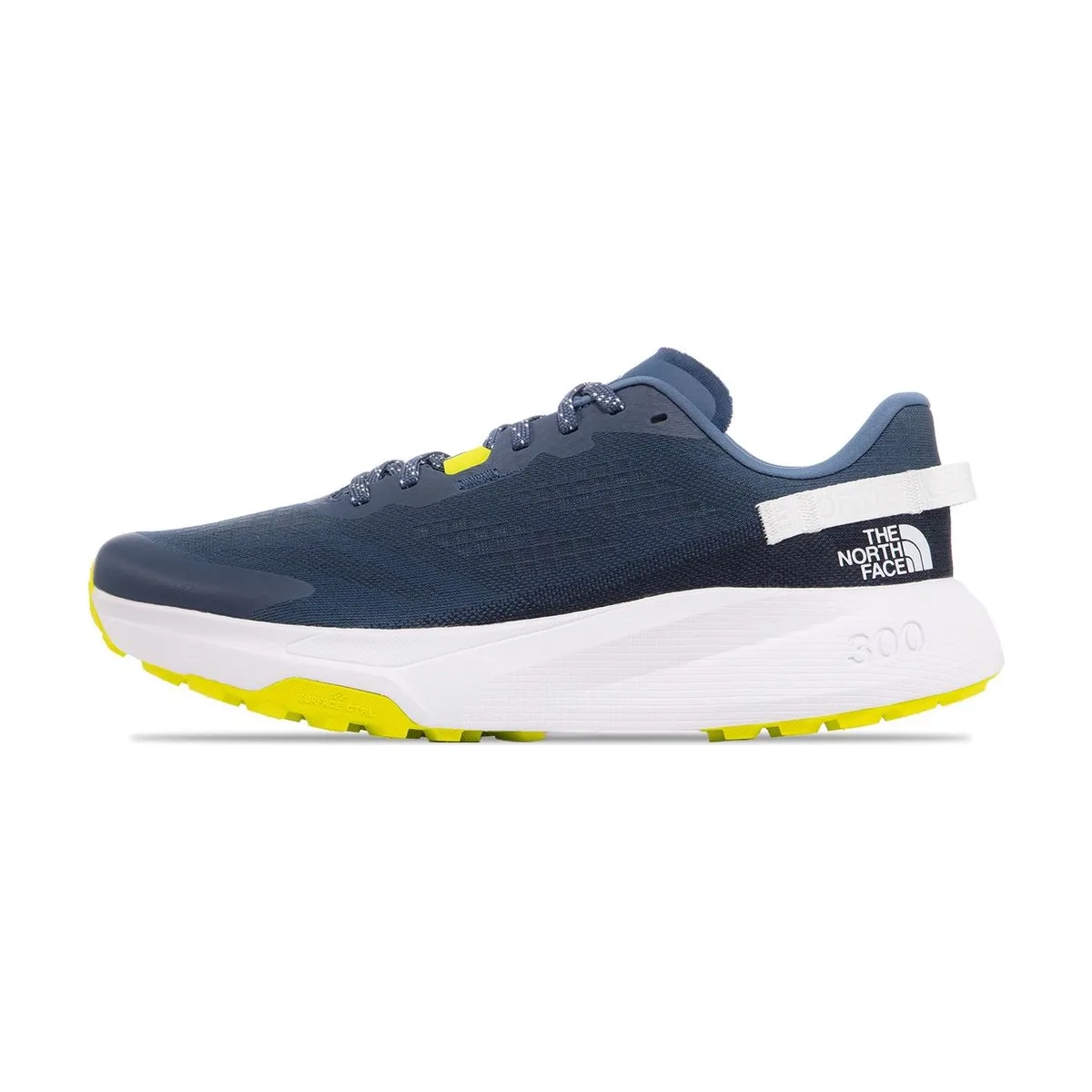 Мужские кроссовки The North Face Altamesa 300