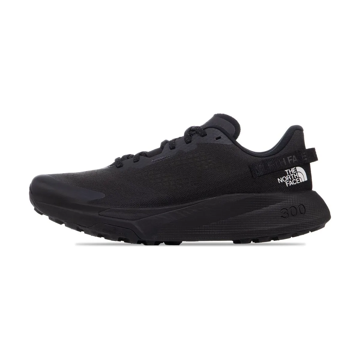 Мужские кроссовки The North Face Altamesa 300