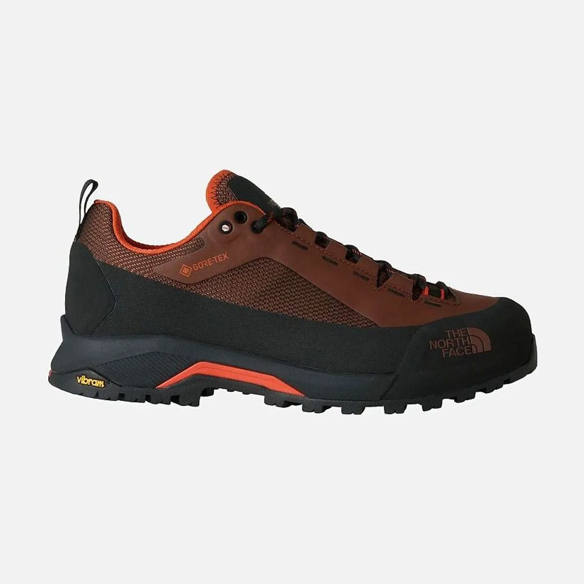 Мужские кроссовки The North Face Verto Alpine Gore-Tex